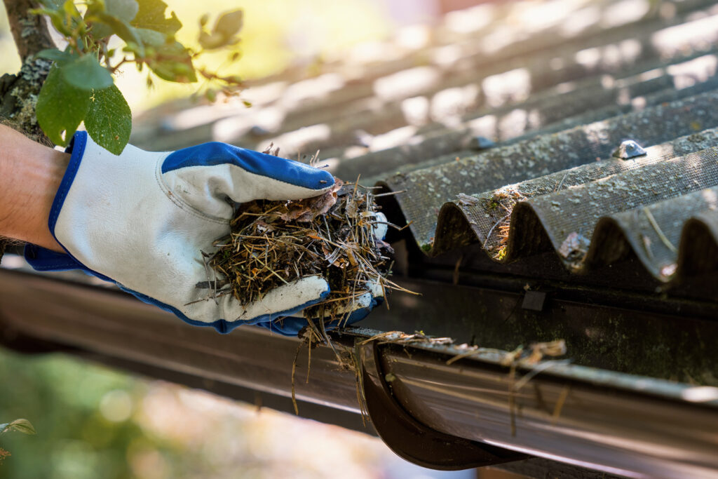 Gloved hands pulling packed leaf and debris from an Asheville gutter